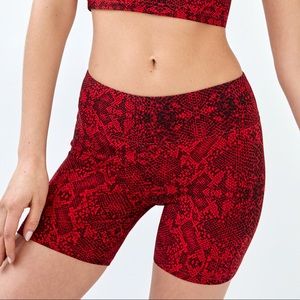 TNA 5” Equator Short